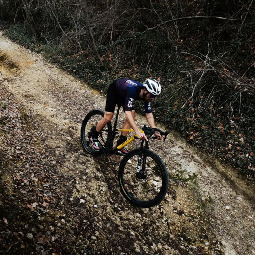 Bicicleta Lee Cougan Innova Super Gravel RE Eagle