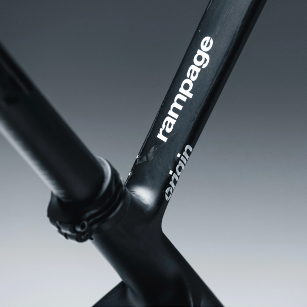 Bicicleta Lee Cougan Rampage Origin Team XTR RK