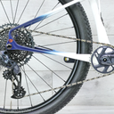 Bicicleta MTB Lee Cougan Innova RE Eagle