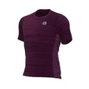 Maillot Ciclismo Ale Gravel Cruise