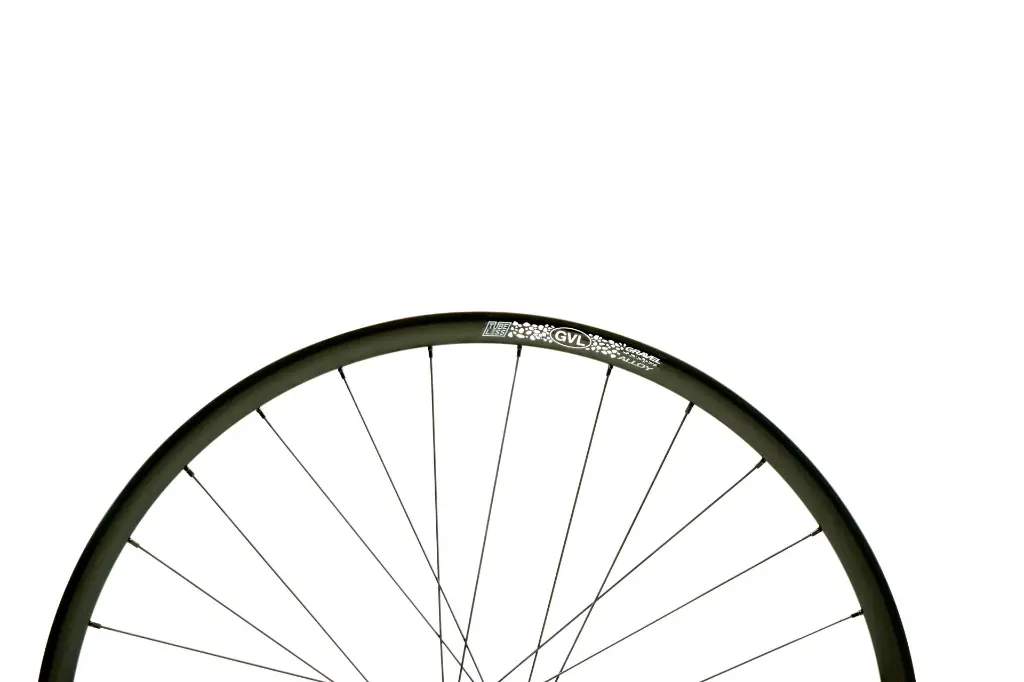 Rueda Boyd Gravel Aluminio Disco