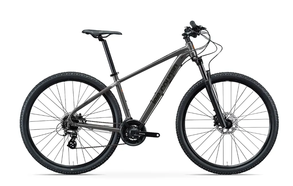 Bicicleta MTB Lee Cougan Rebel